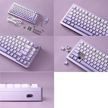 Amazon.co.jp: MonsGeek M1W-SP English Wired / 2.4GHz / Bluetooth